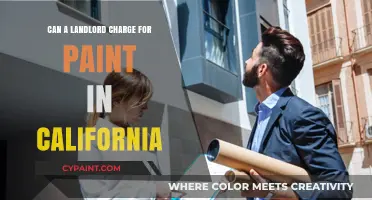 Understanding Paint Charges in California Rental Properties