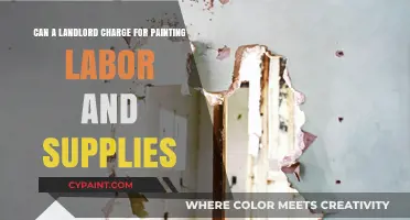 Landlord Charging for Painting: What's Included?