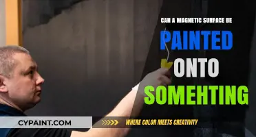 Exploring the Possibilities: Painting Magnetic Surfaces on Various Objects