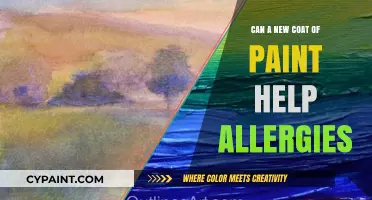 Fresh Coat, Fresh Air: Can Painting Ease Allergy Symptoms?