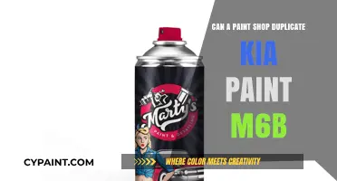 Decoding Kia's M6B Paint: Can Your Local Paint Shop Match It?