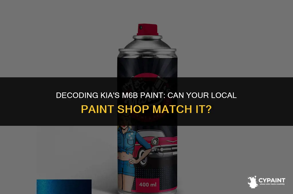 can a paint shop duplicate kia paint m6b