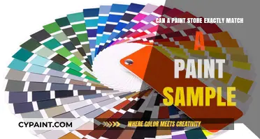 Matching Paint Samples: An Exact Science?
