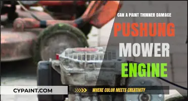 Can Paint Thinner Harm Your Push Mower Engine? Find Out Here