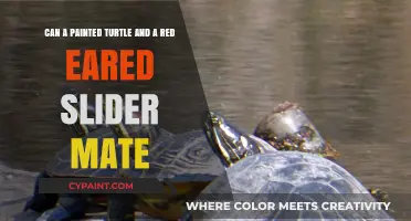 Can Painted Turtles and Red-Eared Sliders Mate? Exploring Compatibility