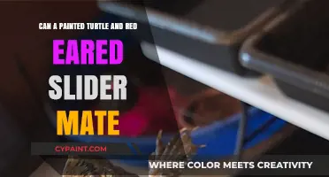 Inter-Species Turtle Mating: Painted and Red-Eared Slider Hybrid?