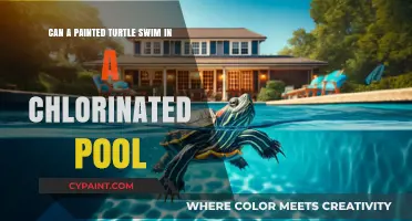 Painted Turtles: Chlorinated Pools, Safe or Not?