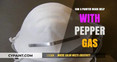 Can a Painter's Mask Offer Protection Against Pepper Gas?