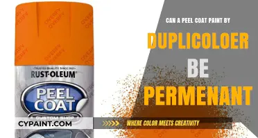 Explore the Permanence of Peel Coat Paint