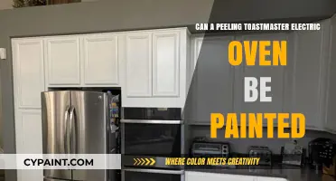 Revamping Your Kitchen: Can You Paint a Peeling Toastmaster Electric Oven?