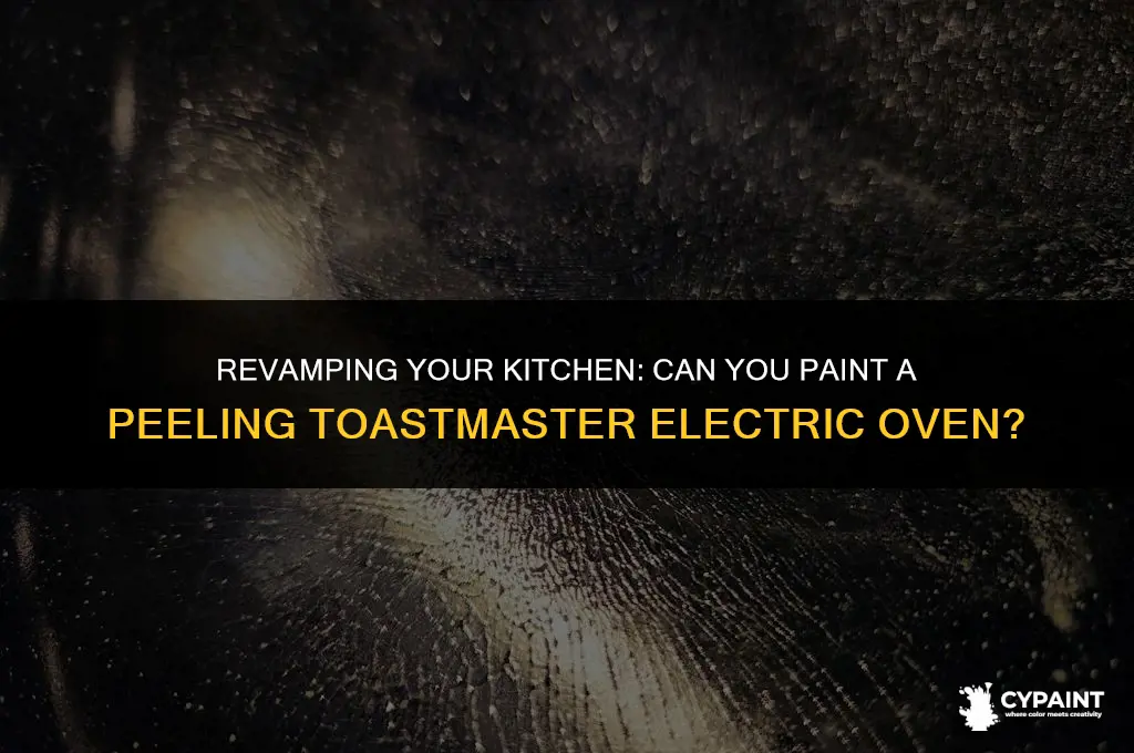 can a peeling toastmaster electric oven be painted