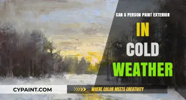 Chilly Brushstrokes: Painting Your Home's Exterior in Cold Weather