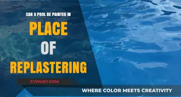 Painting Pools: An Alternative to Re-plastering?