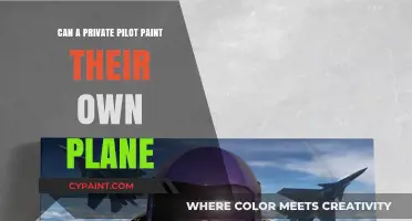DIY Skies: Can a Private Pilot Paint Their Own Plane?