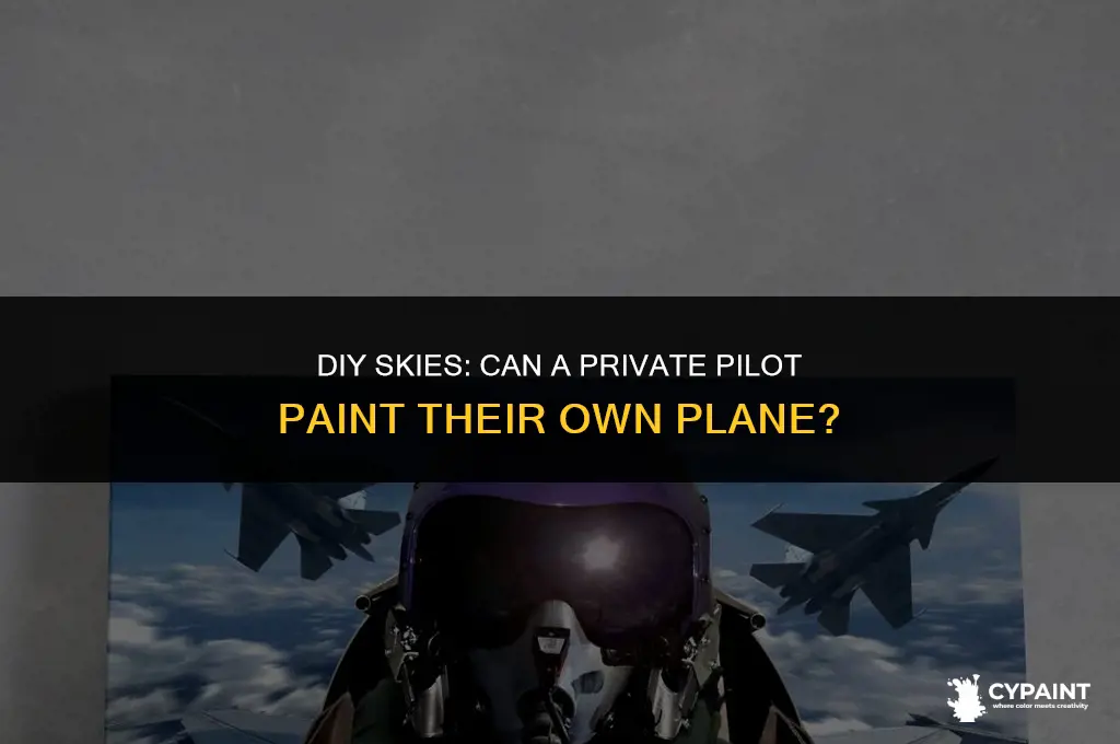 can a private pilot paint their own plane