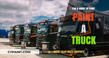 Revamping Rides: Can a Quart of Paint Truly Transform a Truck?