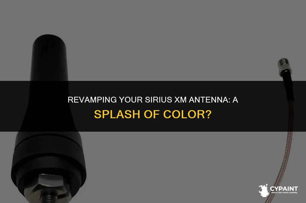 can a sirius xm radio antenna be painted