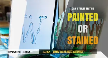 Revamping Your Throne: A Guide to Painting or Staining Toilet Seats