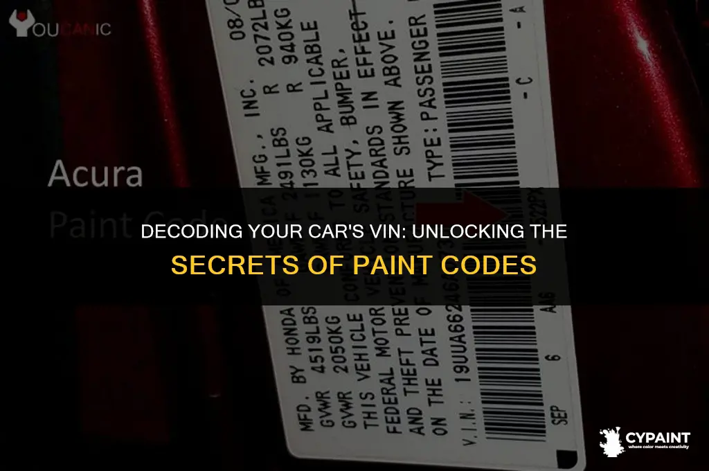 can a vin number provide a paint code