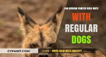 Exploring the Possibility: Can African Painted Dogs Mate with Regular Dogs?