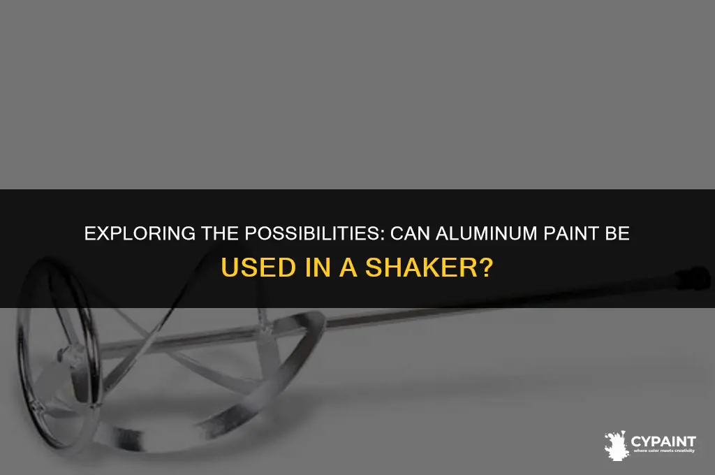 can aluminum paint be put a the shaker