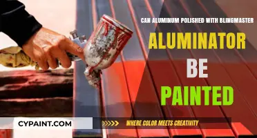 Revamping Aluminum Surfaces: Painting Over Blingmaster Aluminator Finish