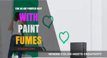 Clearing the Air: How Air Purifiers Tackle Paint Fumes