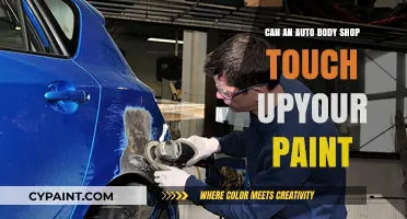 Reviving Your Ride: Can an Auto Body Shop Touch Up Your Paint?