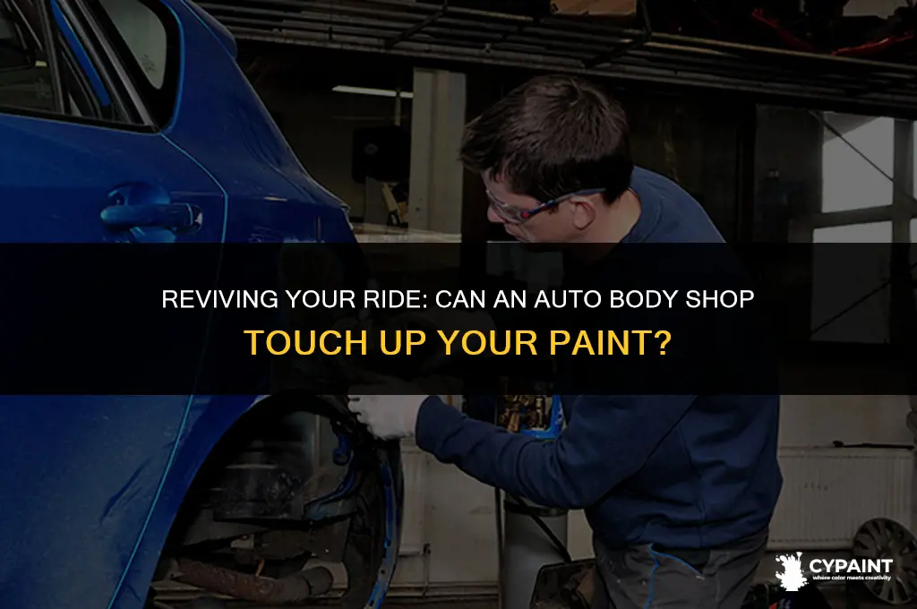 can an auto body shop touch upyour paint