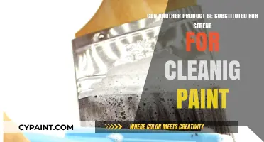 Eco-Friendly Alternatives to Strene for Effective Paint Cleaning Solutions