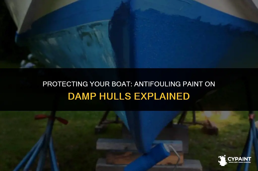 can antifouling paint be applied to damp hull