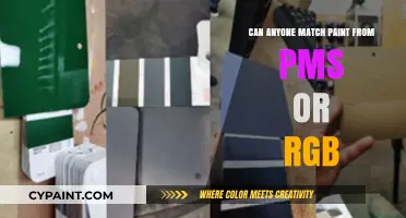 Decoding Color Codes: The Art of Matching PMS and RGB Paints