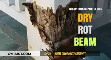 Dry Rot Beams: Paint Possibilities and Limitations