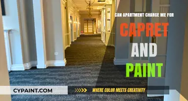 Understanding Apartment Fees: Carpet and Paint Charges Explained