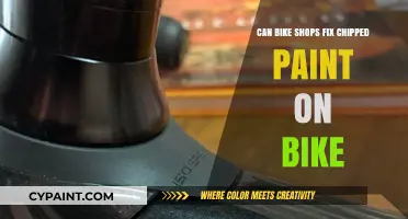 Reviving Your Ride: Can Bike Shops Fix Chipped Paint on Bikes?