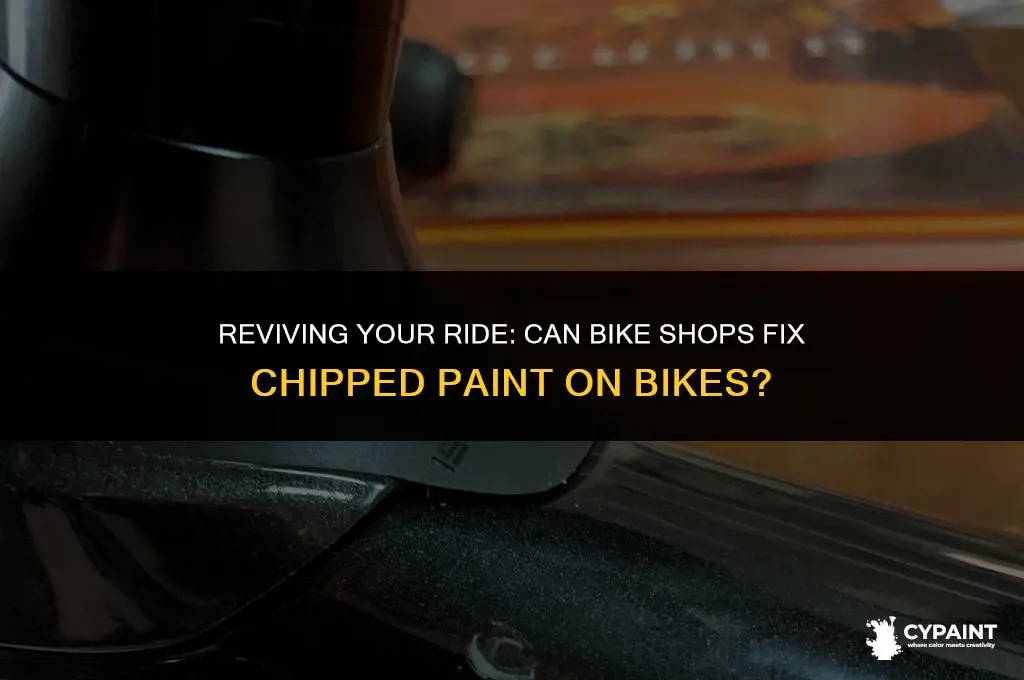 can bike shops fix chipped paint on bike