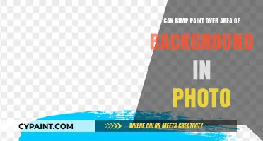 How to Paint Over Photo Backgrounds with Bimp