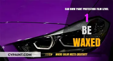 Protecting Your BMW: Waxing Over PPF Level 1