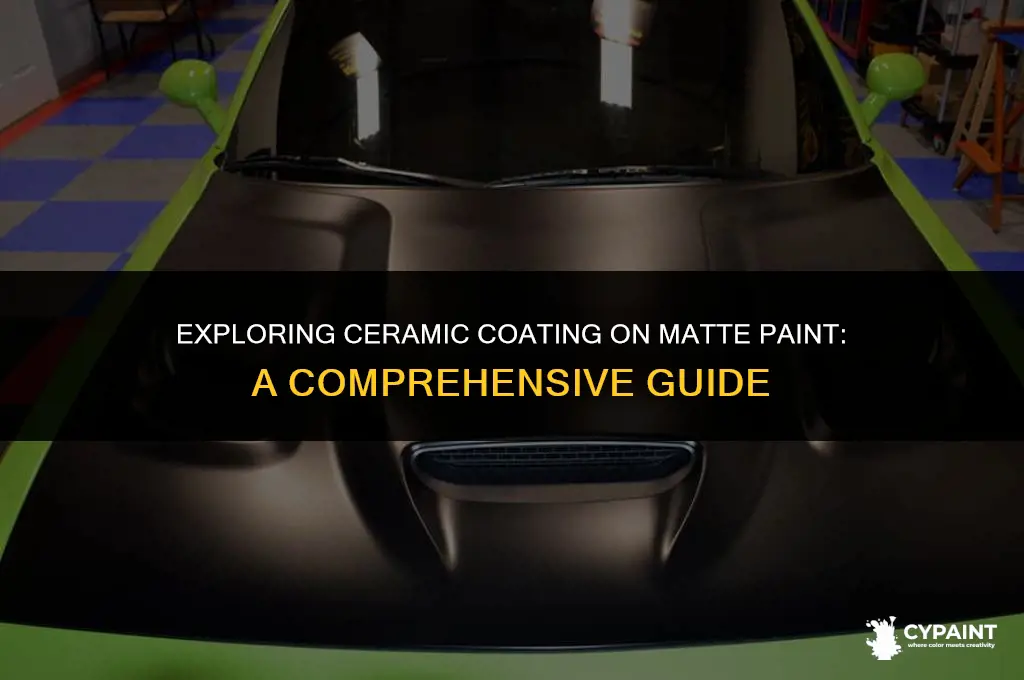 can ceramic coating be applied on matte paint