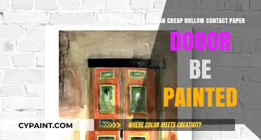 Revamping Your Space: Painting Cheap Hollow Contact Paper Doors