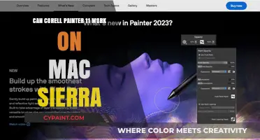 Exploring Corel Painter 11's Compatibility with macOS Sierra