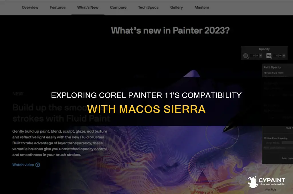 can corell painter 11 work on mac sierra