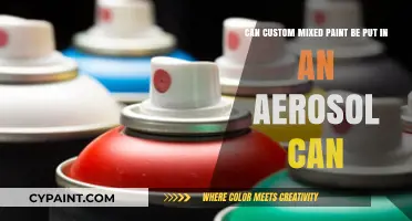 Can Custom Mixed Paint Be Aerosolized? A Comprehensive Guide