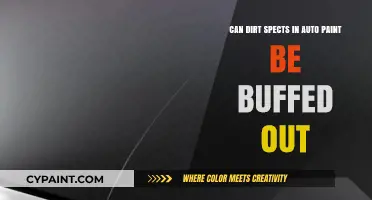 How to Remove Dirt Specs from Auto Paint