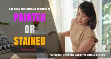 Reviving Dried Wool Furniture: Paint or Stain?