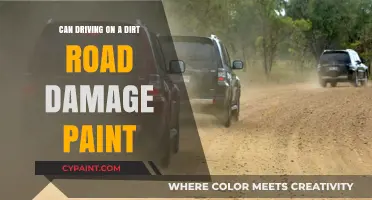 Dirt Road Driving: Potential Paint Damage and Prevention Tips