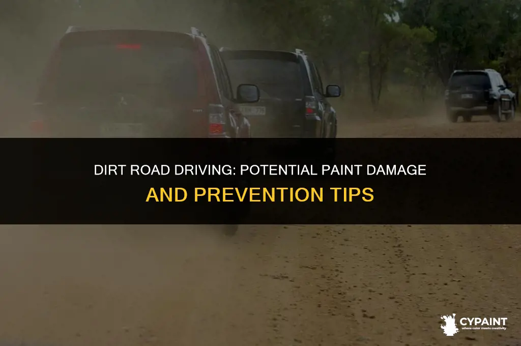 can driving on a dirt road damage paint
