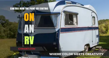 Can Egg Damage Your RV's Paint or Coating? Find Out