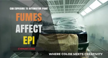 Unveiling the Truth: Automotive Paint Fumes and Epilepsy Risk