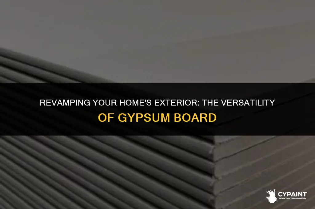can exterior gypsum board be tapped and painted